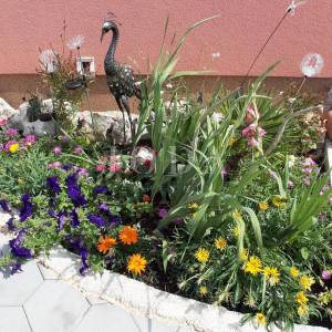 Apartmanska kuća sa šest opremljenih apartmana