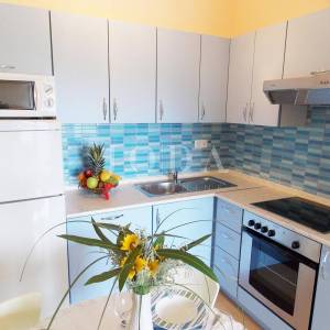 Apartmanska kuća sa šest opremljenih apartmana