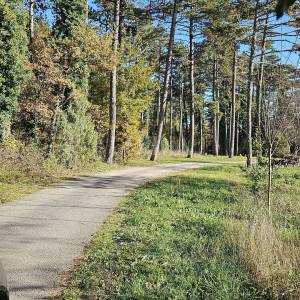 Atraktivno građevinsko zemljište,Labin okolica