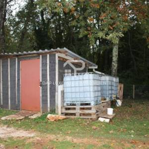 Atraktivno poljoprivedno zemljište blizu mora - Brtonigla 7660m2