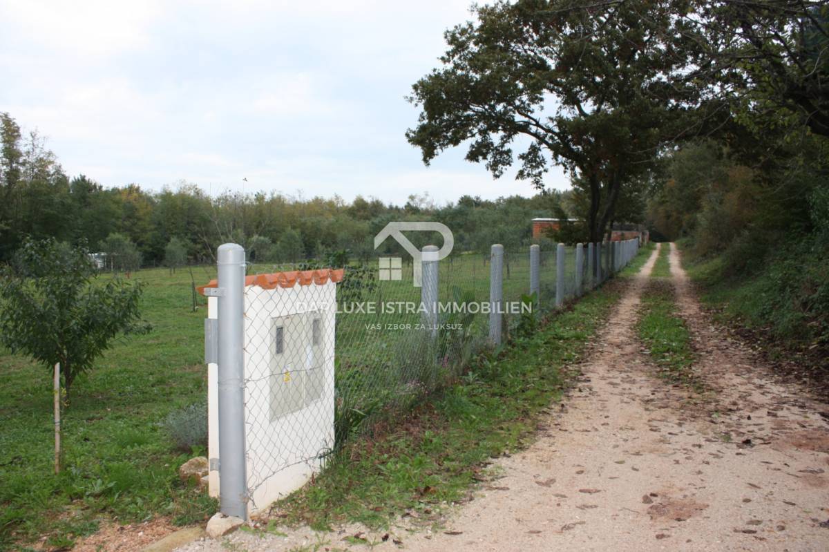 Atraktivno poljoprivedno zemljište blizu mora - Brtonigla 7660m2