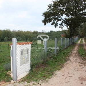 Atraktivno poljoprivedno zemljište blizu mora - Brtonigla 7660m2