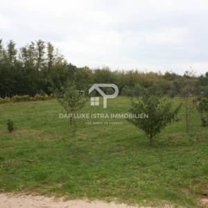Atraktivno poljoprivedno zemljište blizu mora - Brtonigla 7660m2