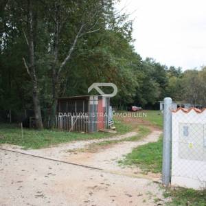 Atraktivno poljoprivedno zemljište blizu mora - Brtonigla 7660m2