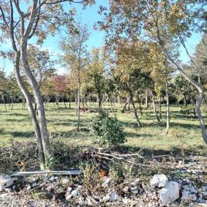 Barban, okolica, građevinsko zemljište 
