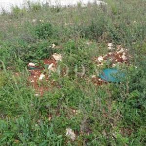Barbariga, vikend parcele na svega dva kilometara od mora