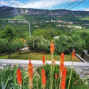 Bribir, dvije povezane kuće s prostranom okućnicom