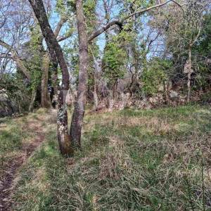 Bribir, građevinski teren 806 m2 sa pogledom
