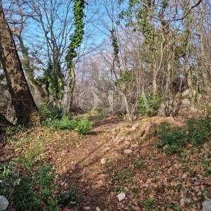 Bribir, građevinski teren 806 m2 sa pogledom