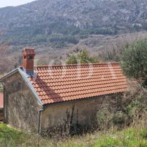 Bribir – Imanje s potencijalom za turizam i miran život