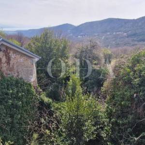 Bribir – Imanje s potencijalom za turizam i miran život