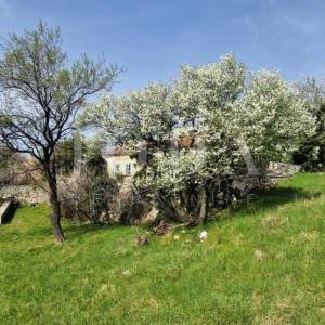 Bribir – Imanje s potencijalom za turizam i miran život