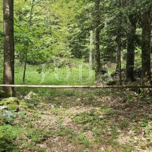 Bribirska šuma teren na prodaju