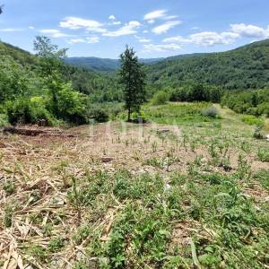Buzet, starina za adaptaciju sa građevinskim terenom
