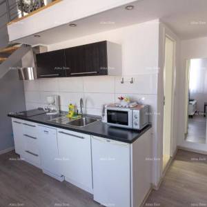 Centar ! 50 metara do Giardina. Ciscuttijeva ulica, Pula.