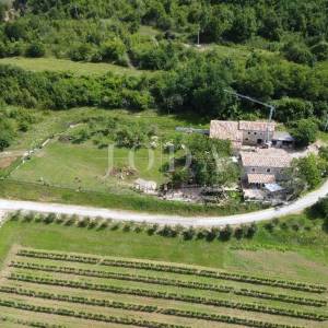 Cerovlje, okolica, istarska stancija sa dvije kuće i prostranom okućnicom