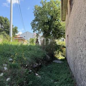 Drenova kuća