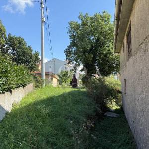 Drenova kuća