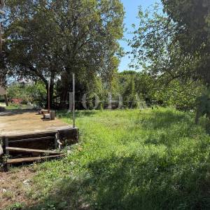 Drenova kuća