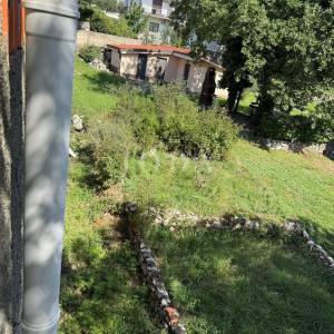 Drenova kuća