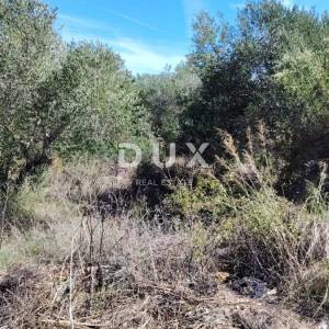 DUGI OTOK, BOŽAVA - PRILIKA! Građevinsko zemljište 130 m od mora!