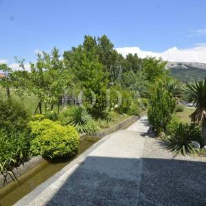 Dvojna kuća sa pet apartmana okružena prirodom