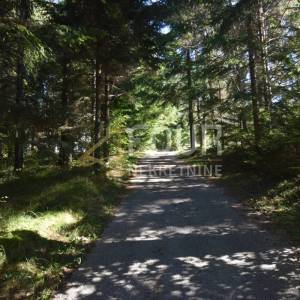 Gorki kotar, Tršće - okolica, veliko imanje s kućom