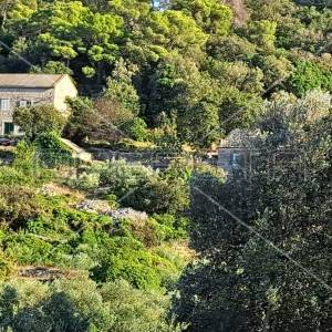 Gornje Kunjanovo, Vis, 5.002,00 m2, 76.006,00 EUR