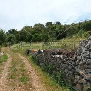 Gornje Kunjanovo, Vis, 5.002,00 m2, 76.006,00 EUR