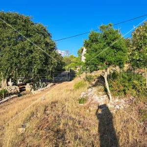 Gornje Kunjanovo, Vis, 5.002,00 m2, 76.006,00 EUR