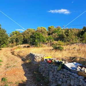 Gornje Kunjanovo, Vis, 5.002,00 m2, 76.006,00 EUR