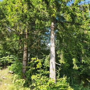 Gorski kotar, Stari Laz, građevinsko zemljište s kamenom starinom