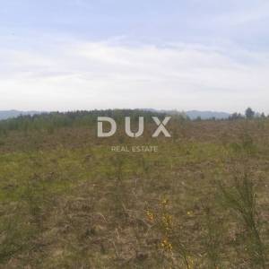 GOSPIĆ, LIPE - POLJOPRIVREDNO ZEMLJIŠTE, PRILIKA !!