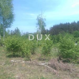 GOSPIĆ, LIPE - POLJOPRIVREDNO ZEMLJIŠTE, PRILIKA !!