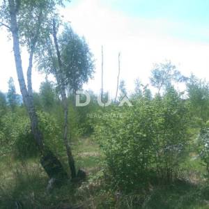 GOSPIĆ, LIPE - POLJOPRIVREDNO ZEMLJIŠTE, PRILIKA !!