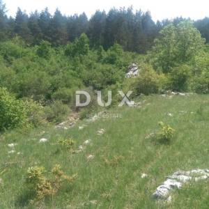 GOSPIĆ, LIPE - POLJOPRIVREDNO ZEMLJIŠTE, PRILIKA !!