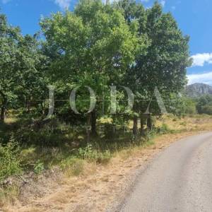 Građevinsko zemljište  12000m2 u Bribiru sa pogledom na more