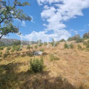 Građevinsko zemljište  12000m2 u Bribiru sa pogledom na more