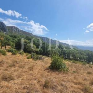 Građevinsko zemljište  12000m2 u Bribiru sa pogledom na more