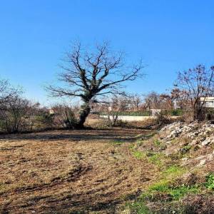 Građevinsko zemljište 3.600m2,POREČ okolica