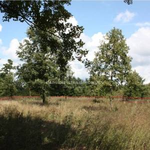 Građevinsko zemljište Barban 1300m2