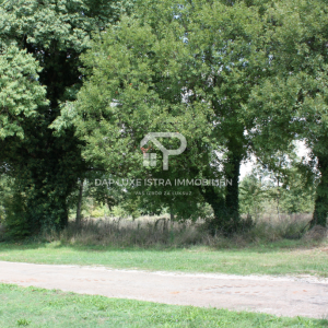 Građevinsko zemljište Barban 1300m2