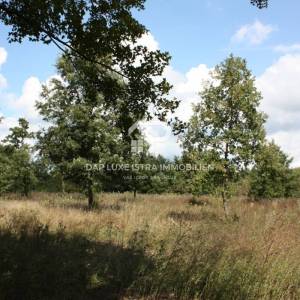 Građevinsko zemljište Barban 1300m2