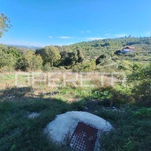 Građevinsko zemljište s projektom, 1573m2- Bilice
