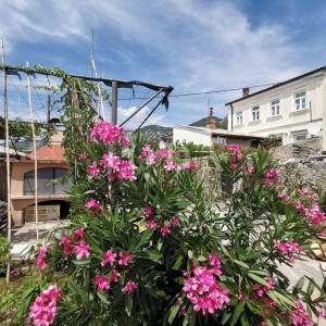 Grižane obiteljsko imanje na prodaju