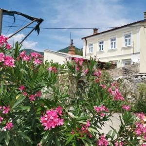 Grižane obiteljsko imanje na prodaju