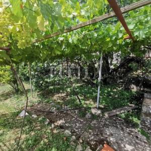 Grižane obiteljsko imanje na prodaju