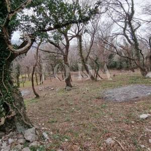 Grižane teren 1100 m2