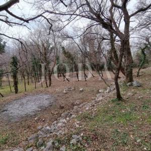 Grižane teren 1100 m2