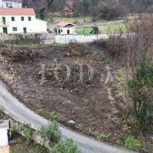 Grižane teren